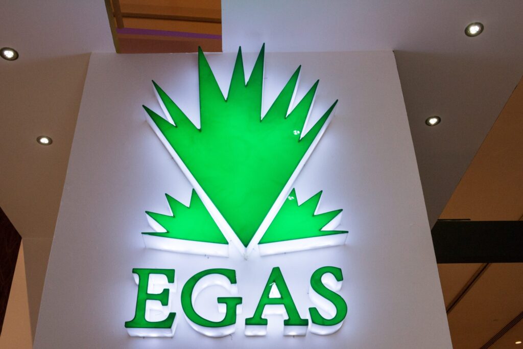 EGAS Awards 9 Gas Blocks, Adds 1.85 tcf to Reserves in FY 2024/25