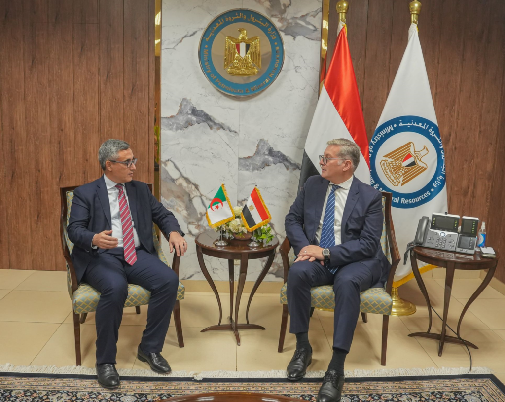 Egypt, Algeria Talk Energy Cooperation Ahead of Joint Committee