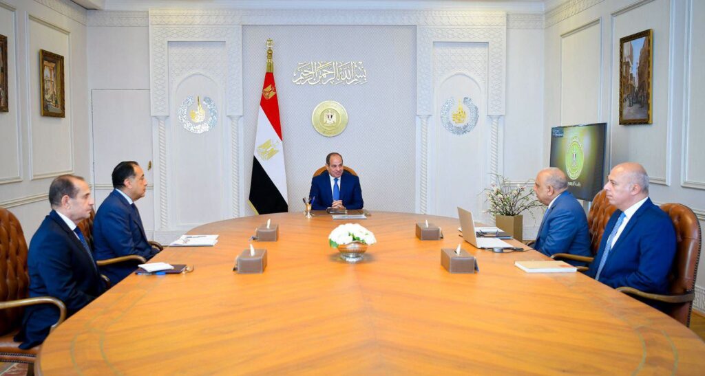 El Sisi Reviews Electricity Grid Expansion, Renewable Energy Projects